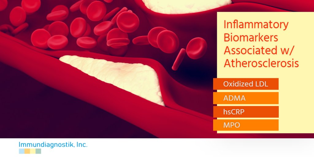 _idkna's tweet photo. Inflammation resulting from oxidative stress has been shown to play a key role in the development of metabolic syndrome &amp; atherosclerosis. Looking for assays to provide you with insight on circulating levels? #CVD #oxidativestress #metabolicsyndrome #atherosclerosis https://t.co/4e3A8MHj1f