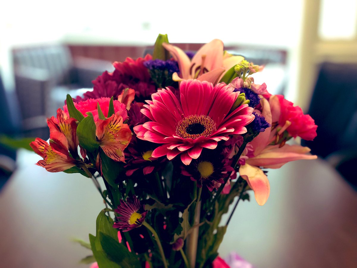 Gem_Perkins's tweet photo. Happy Administrative Professionals Day! Love being part of an amazing staff who support #TCNJ’s leaders. Thank you @TCNJ_Academic for the flowers and the sweet treats! https://t.co/x4UCmR3RGI