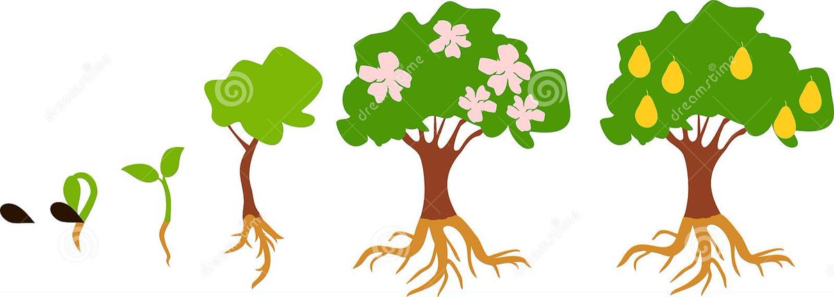 DanielBeylerian's tweet photo. From seed to fruit bearing tree, you are learning, growing and sharing #thinksym @Thinksym @Sandra_Herbst @Curriculum_HPE https://t.co/auK424poBb