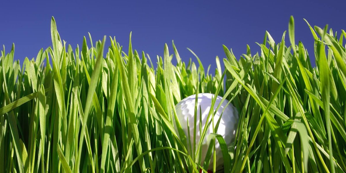 The following jobs have been posted to our ERS:

Smithfield’s CC
Asst. Super
Easley, SC

The Cardinal by Pete Dye
Asst. Super
Greensboro, NC

The Cliffs at Glassy
Asst. in Training
Landrum, SC

Genesis Farm
Turf Sales
Fortville, IN

Carolinasgcsa.org/jobs