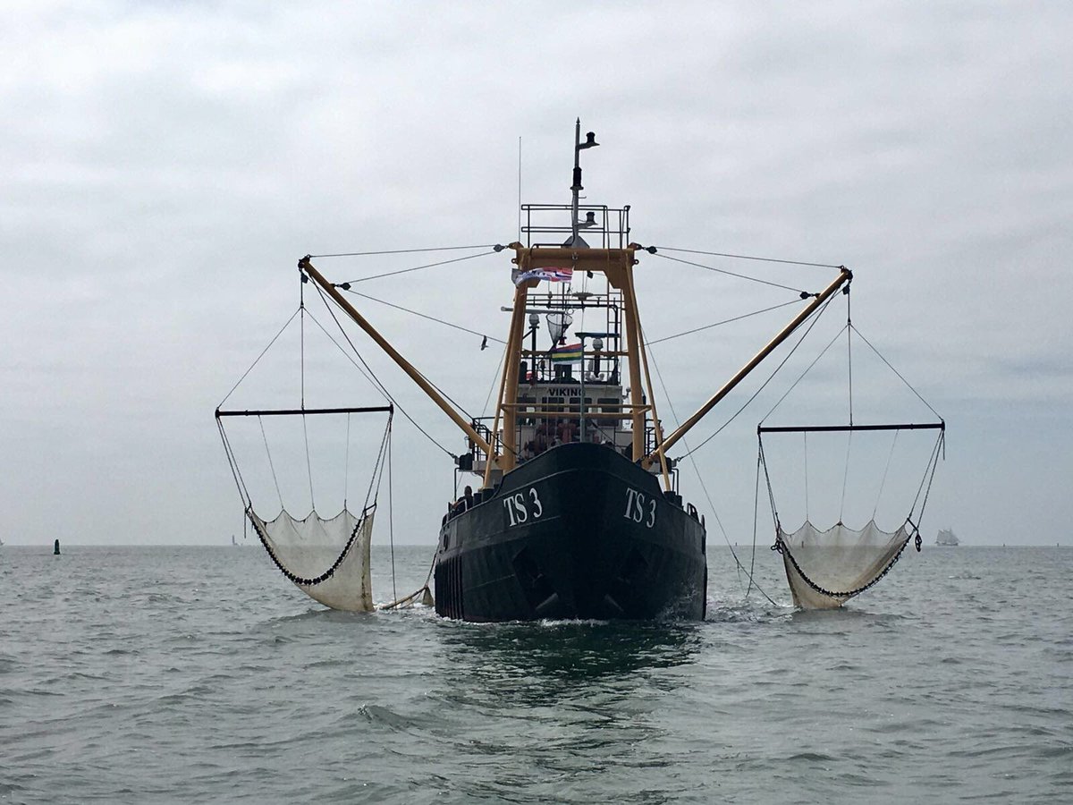 #Terschelling donderdag 25 april om 15:00 uur hebben we nog plaatsen. Ga mee en beleef de #Waddenzee, 06 1026 3889 of boek online! Garnalenvissen en naar de #zeehonden TS3-Viking