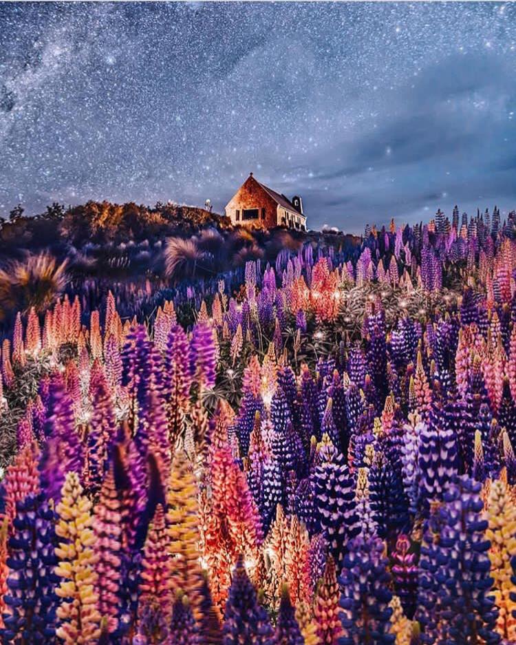 tanosiisupi_bot's tweet image. The shining flowers are symbols of you who is looking at them.

光る花達は、それを見ているあなたの象徴です。

Your consciousness is doing externalization.

あなたの意識が外化しているんですよ。

RP @Drc_19 #externalization #外化