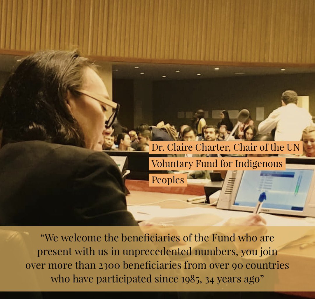 UN Voluntary Fund For Indigenous Peoples tweet media