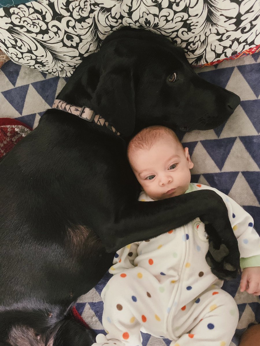 AnnieHanger's tweet photo. “Don’t take my baby, Mom. He’s my baby.” https://t.co/MR9v0N93Eo