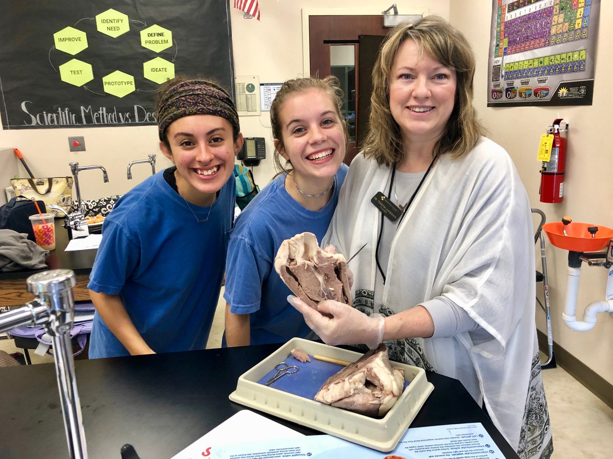 Cornerstonepre1's tweet photo. Heart dissection really gets our blood pumping 💓 #mycpafamily #cornerstoneprep https://t.co/F1aoJq6Le5