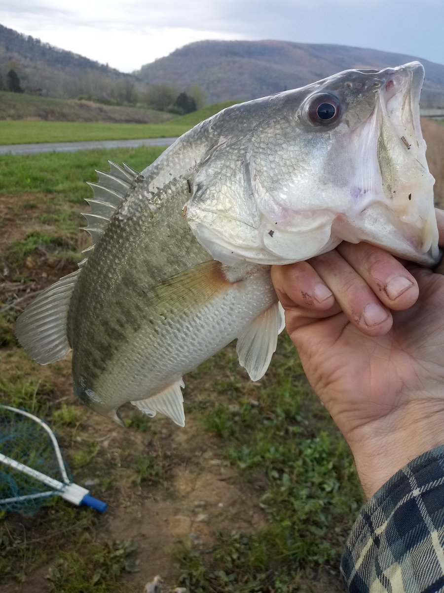 Billy's Outdoors tweet media