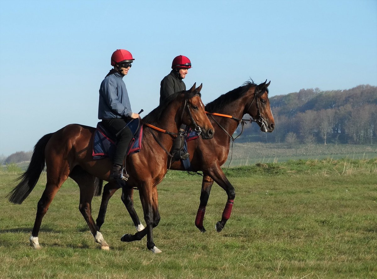 Aspetar and Headman walking home after work