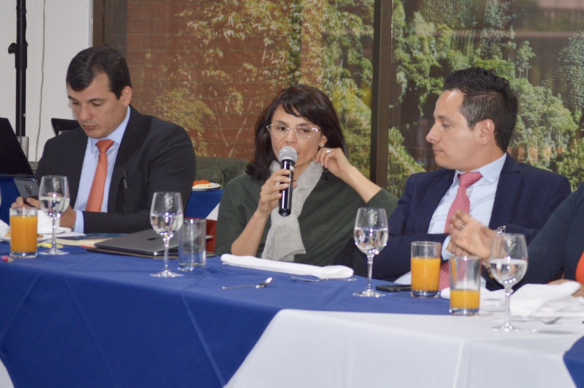 SAColombia's tweet photo. En la #JuntaSAC dialogamos con el director de @SomosAGROSAVIA @JorgeMarioDiazL sobre las prioridades en materia de ciencia y tecnología, promoviendo centros de investigación regionales para los sectores productivos. @AuguraColombia @MiPorkcolombia @fedepapa #ForestFirst https://t.co/OwEpxyCGVt
