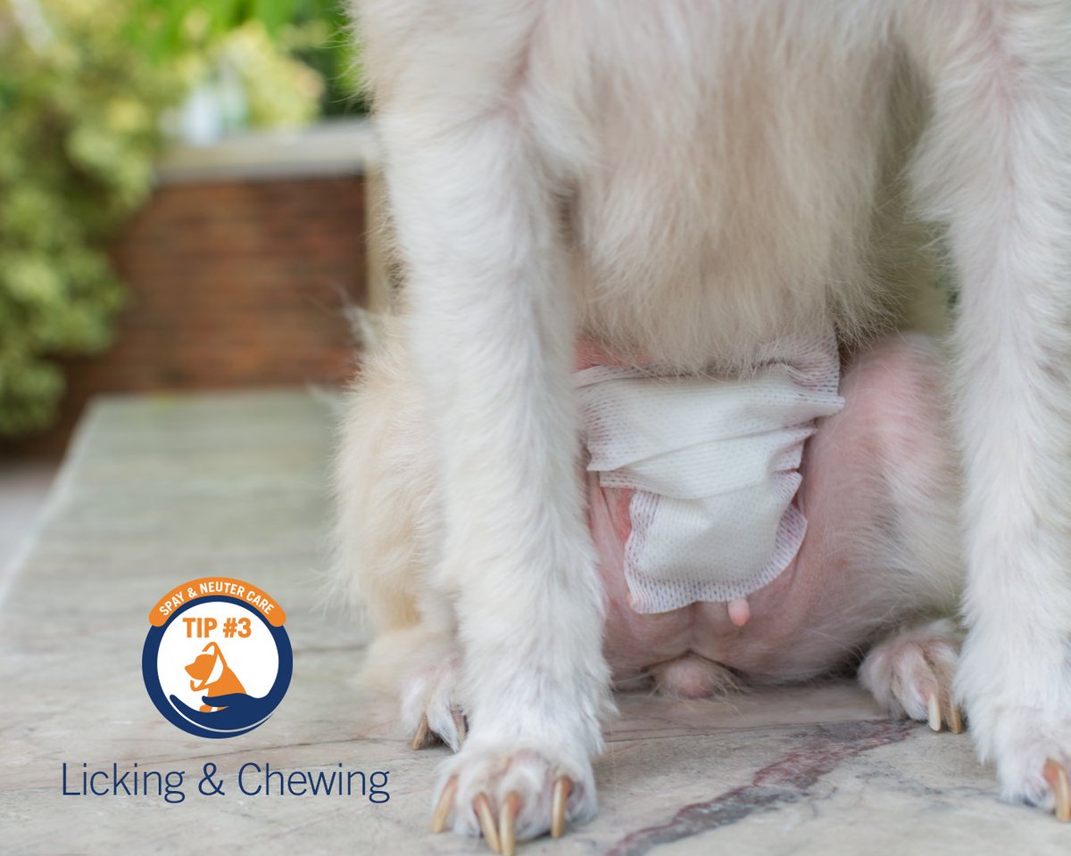 🐾Vetericyn🐾 tweet media