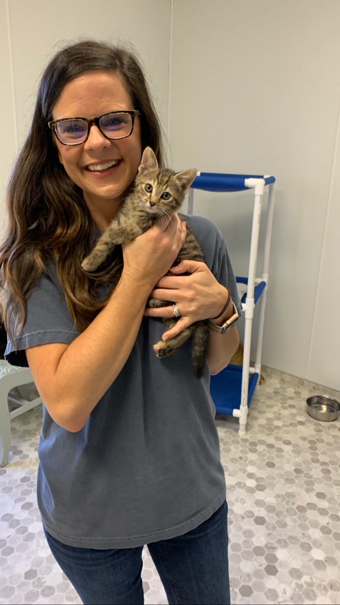 Candace_Baum's tweet photo. Enjoyed our morning volunteering at FCRC 🐶🐱 #mcsenrich https://t.co/VgWcCHePN3