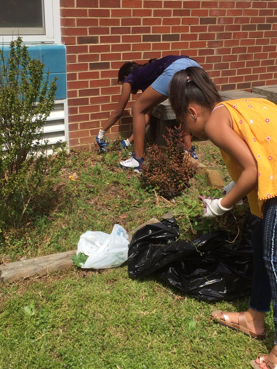 EcoffLibrary's tweet image. Beautifying the garden for Earth Day @EcoffElementary! #ccpslibraries