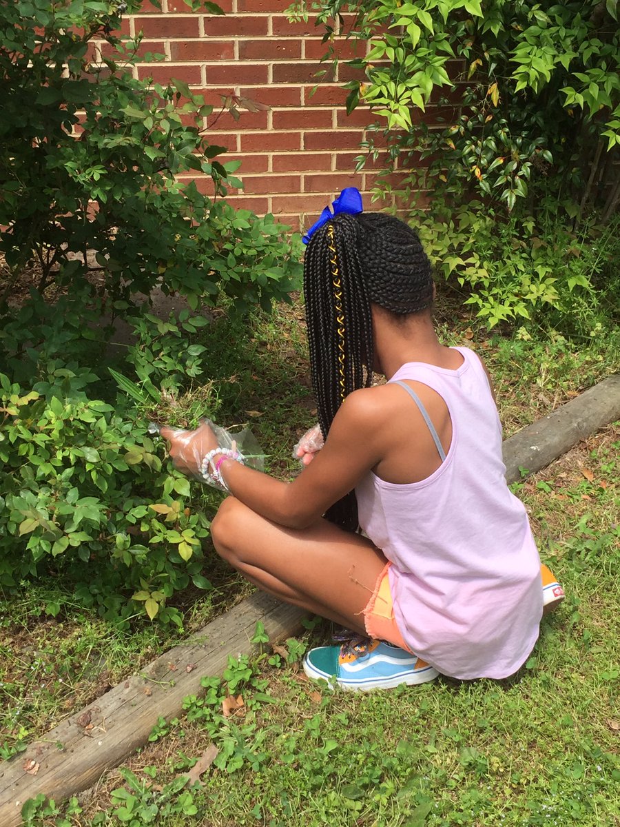 EcoffLibrary's tweet image. Beautifying the garden for Earth Day @EcoffElementary! #ccpslibraries