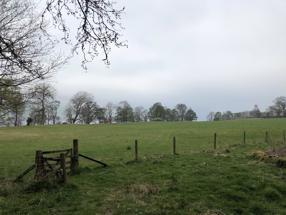 MuirhouseYouth's tweet photo. Great day spent planning our annual youth work games event alongside some of our partners for this year! Here’s to another great event this July! 😁⚽️🏹 🏊‍♂️ 🛶 @MYDGAdventure @WildFoxEvents @ASengaged @EngagementRaf https://t.co/4J4zK31GiY