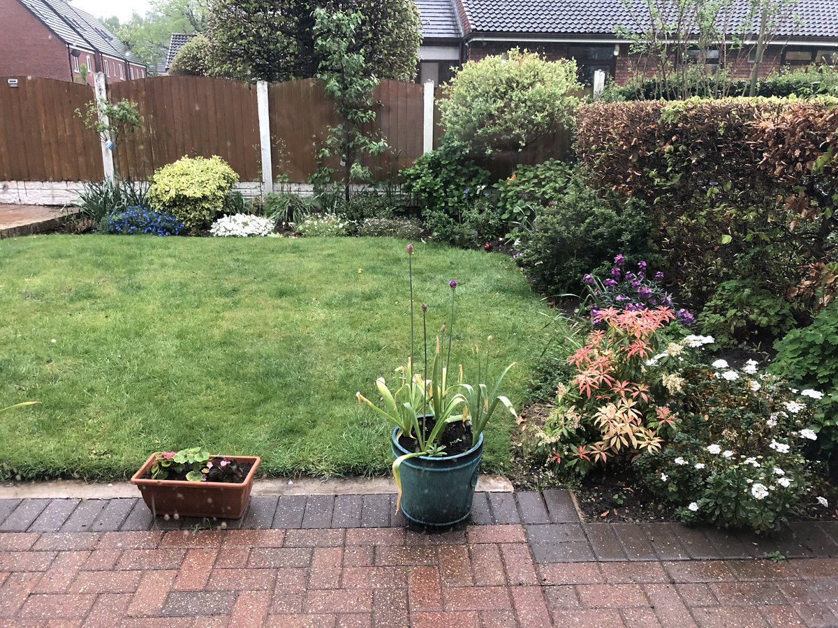 The one night I don’t have time to water the garden before going out and the heavens open instead 😀