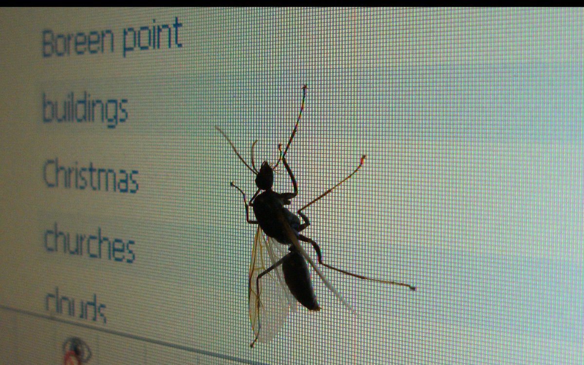 27 Tips for Finding Bugs on Your Website buff.ly/2UAzP8k by <a href="/DZone/">d-zone</a>