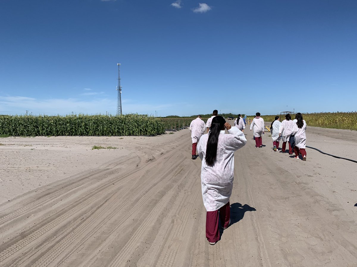 sstridecollier's tweet photo. We learned so much at @hmclause in Immokalee. Thank you for having us. It was cool to see the science behind plant breeding and how pathogens can help breed out weak plants! 🌱 https://t.co/qox9RRZlwC