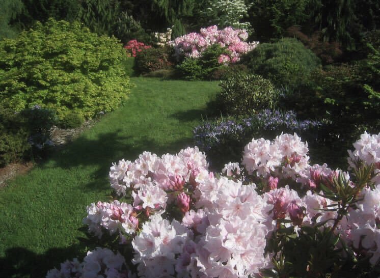 ♡ (@softblushs) on Twitter photo 