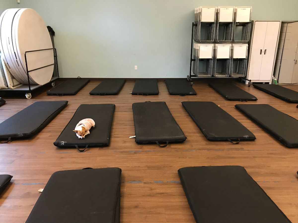 ClackamasServiceCtr tweet media