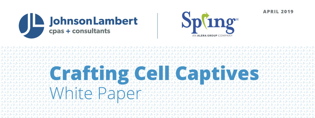 Johnson_Lambert's tweet photo. Do you understand the evolution of cell structures, how cell #financialreporting has developed, and how the #GAAPguidance is applied to #cellstructures? Read the new white paper by Johnson Lambert's Josh Partlow + Spring Consulting Group's Karin Landry: https://t.co/xwaqkWE95P https://t.co/v0PPSMJG02