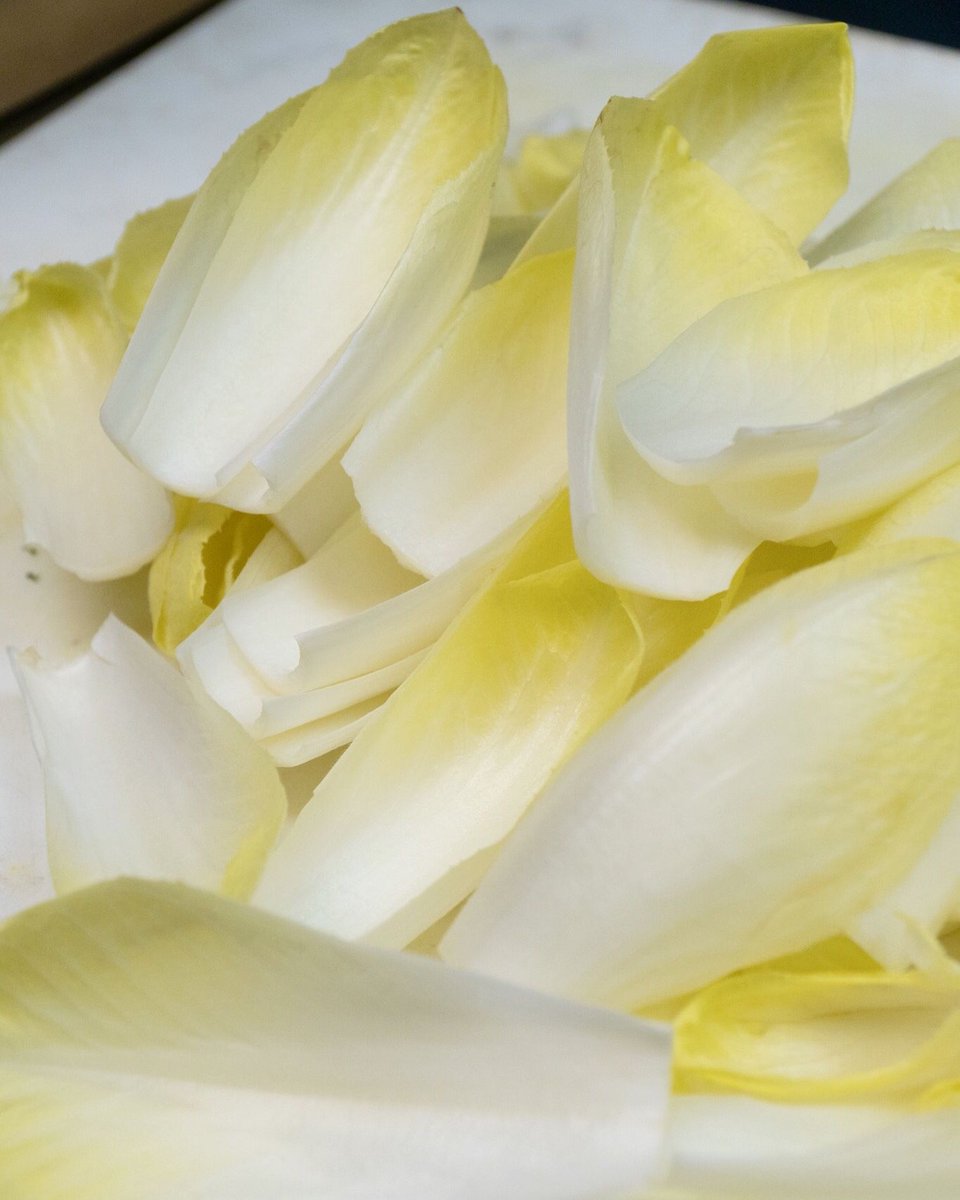 Chef Scuderi prepping endives for our new dinner entree. They come from a single farm in Rio Vista, which supplies half of the endives sold across the U.S. The other half comes from Belgium!

#porkchop #whatsfordinner #hookandladder #sacramentoeats #midtownsac #visitsacramento