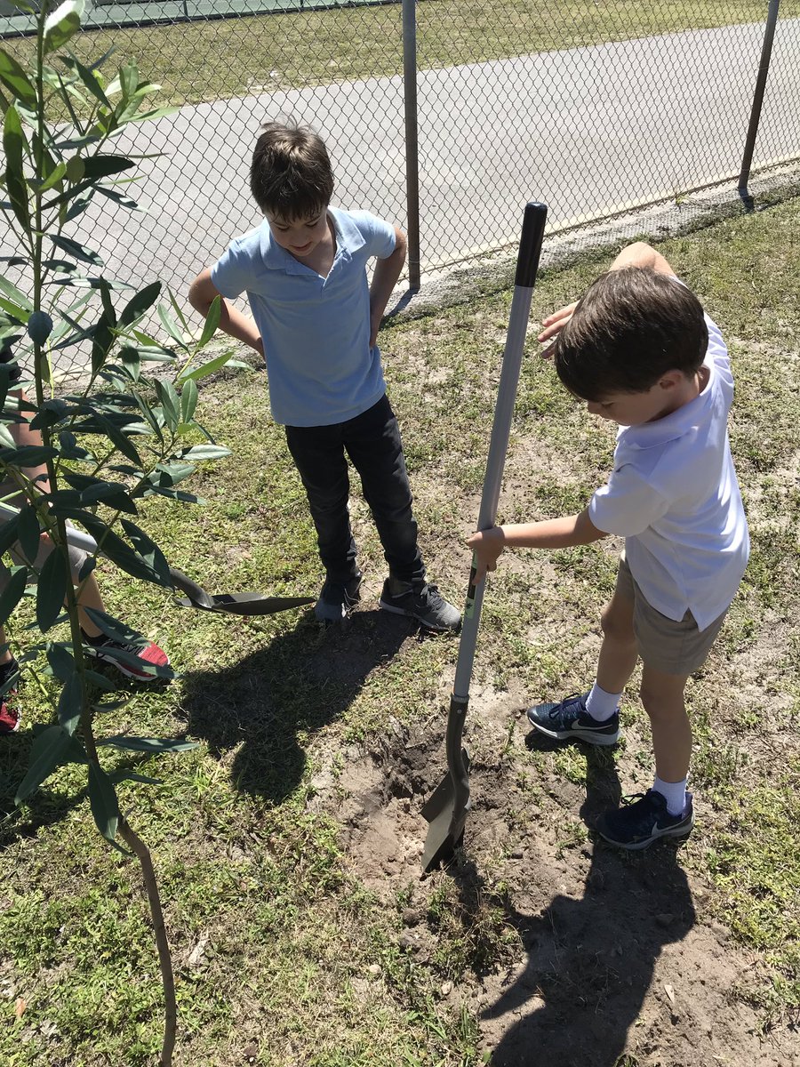 ilona_nixon's tweet photo. @SouthOliveTiger beautification this afternoon with our PTO Auction Winners!  First Grade friends rock!  Love the Olive - what better way to show our love Earth Day week than plant shade trees in our PE field! @LutterJocelyn @SouthOlivePTO @M_Springman @DavaHam https://t.co/HJWuEGSxA9