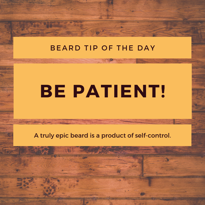 MyBeardJuice's tweet photo. **#Beard #TipOfTheDay**
Be Patient! Becoming #beardiful isn't something that happens over night. You need to grow it, and train it, and cuddle it, and love it⦠Ok maybe not cuddle, but you get the picture.
#MyBeardJuice #BeardQuote #BeardTip #Bearded #MensGrooming https://t.co/Nz2I8BEd2h