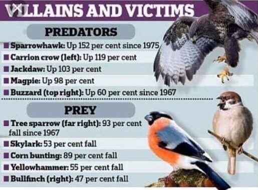No1EstateBoss's tweet photo. Nature is complicated and there will always be more than one reason for changes in population size and make up but.... lets not ignore some obvious correlations #factnotfiction #sciencefirst https://t.co/T8pZwTrM3y