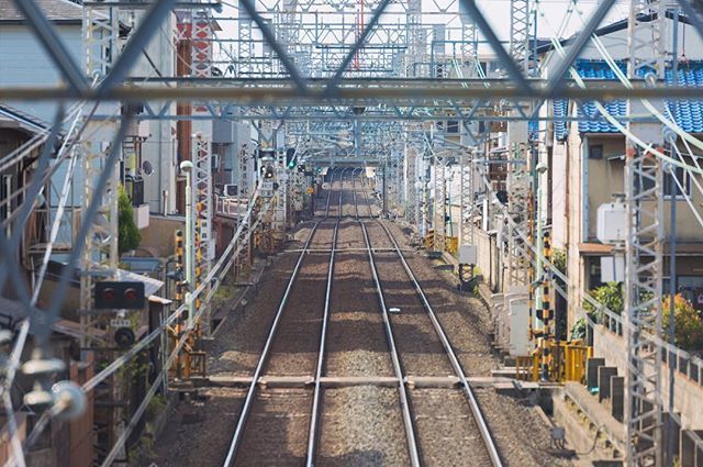 vonderrusch tweet media