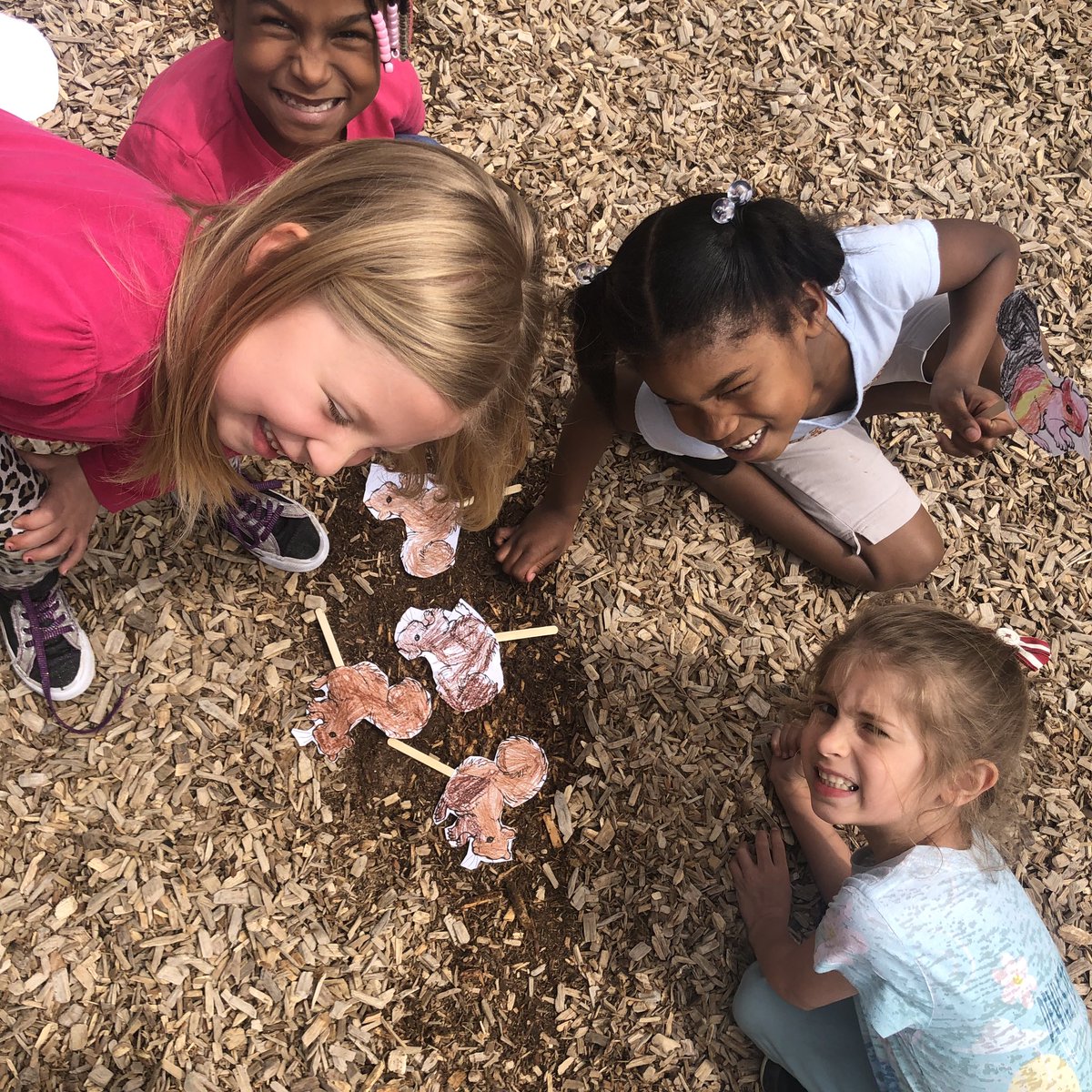 kinder_stem's tweet photo. #Camouflage #KinderStem #LettingTheSquirrelsOut https://t.co/sesUt1qhkP