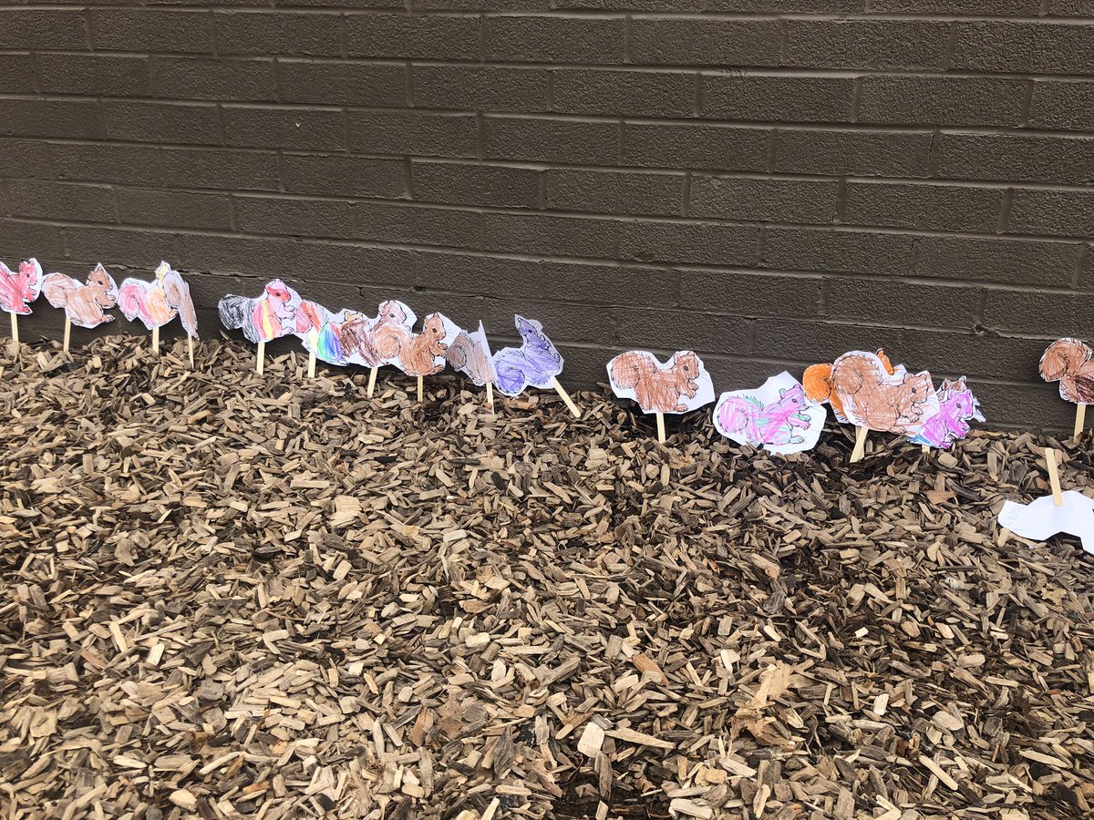kinder_stem's tweet photo. #Camouflage #KinderStem #LettingTheSquirrelsOut https://t.co/sesUt1qhkP
