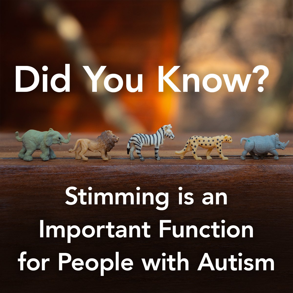 AutismUp's tweet photo. #DidYouKnow? Stereotypic, repetitive behavior, often referred to as ‘stimming,’ helps people with autism regulate their bodies. This can include rocking, hand flapping, spinning, or repeating noises or words. #AutismAwareness #LiftFamiliesWithAutismUp #RespectTheStim https://t.co/CDXnUVeMN8