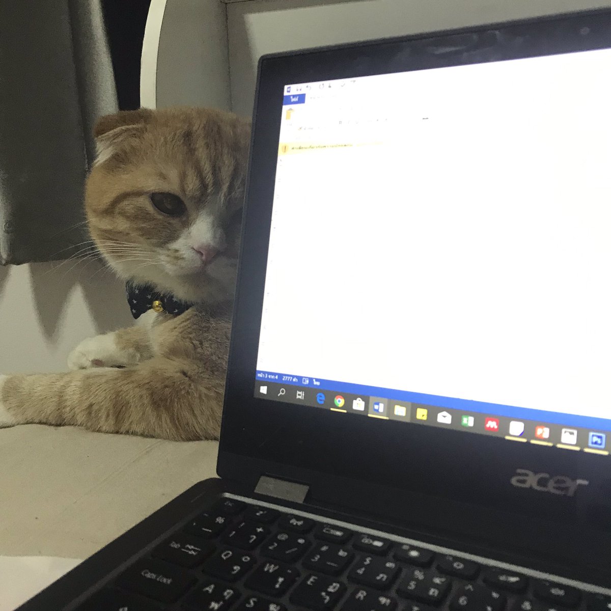 พี่รีน tweet media
