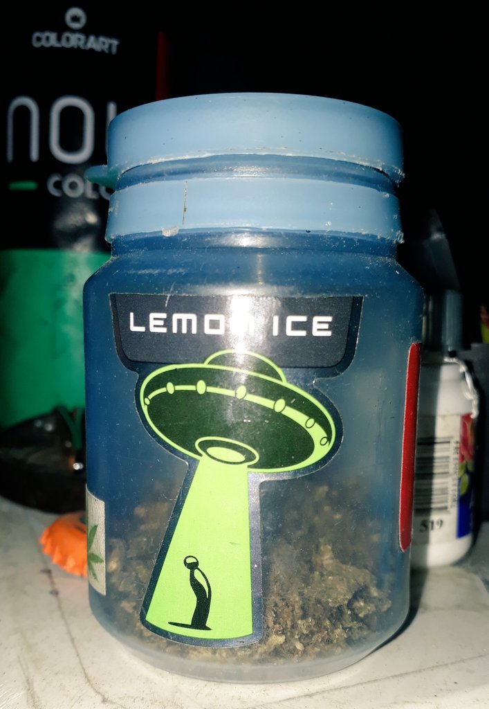 Smokinglize1's tweet photo. nou meu pote tem Skunk Lemon hachaxhax
______.~
#freelize #HaxiSkun https://t.co/oukBgUMoEL