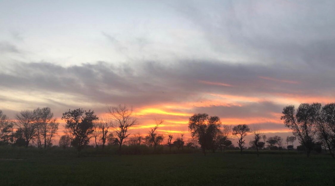 Itsyourkhaleesi's tweet photo. The woods are lovely, dark and deep, but I have promises to keep, And miles to go before I sleep.
Feb’2019/ Gujrat. https://t.co/SwrpNi3NI0