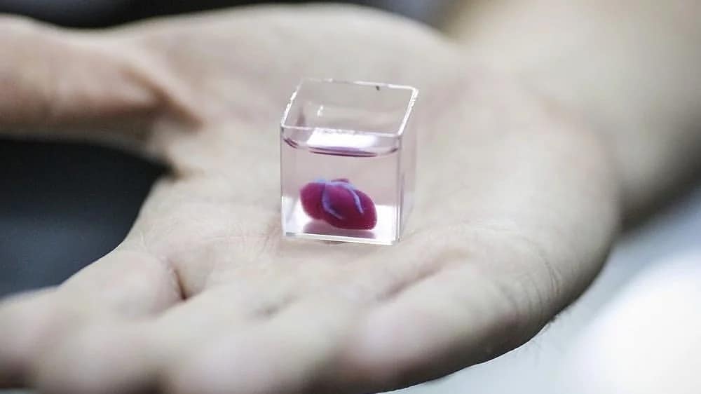 Render_U's tweet photo. The first 3D printed heart with blood vessels and Chambers

Researchers at Tel Aviv University used patient cells to 3D print a tiny heart with blood vessels, ventricles, and chambers.

https://t.co/AUEhT5jh29 https://t.co/rriQcSjTw2