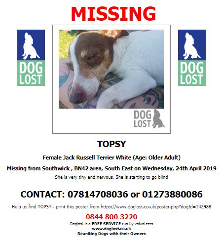 DogLostUK's tweet photo. #LOST #DOG TOPSY
Female #JackRussellTerrier White Older Adult
#Missing from #Southwick #Brighton #BN42
Wednesday 24th April 2019
#LostDog @SAMPAuk_ @VetsGetScanning
https://t.co/ADbDdrJGCF https://t.co/JLCGg1Auhq