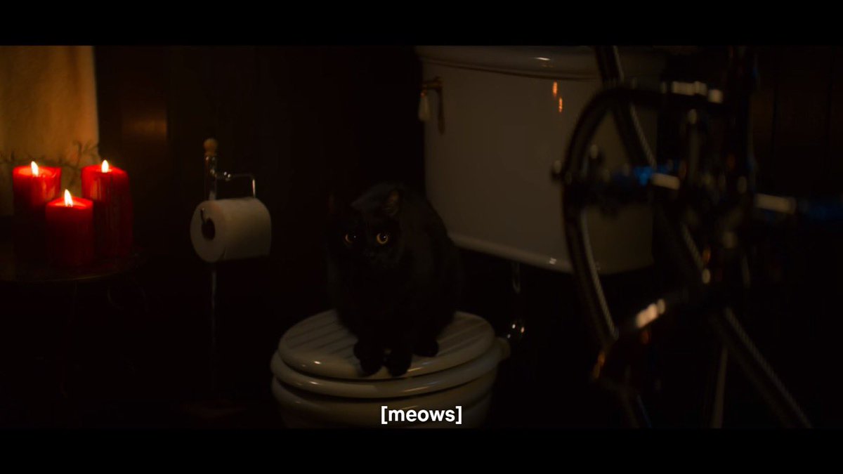 nocontexttcaos's tweet image. 