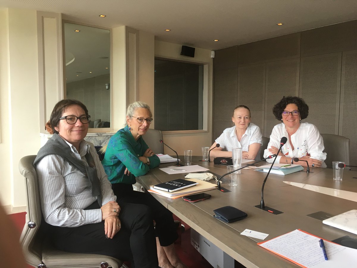 imbertcorinne17's tweet image. Aujourd'hui début des auditions de la "Mission Adoption" confiée par le Premier Ministre @EPhilippePM. Avec ma collègue la députée Monique @3807Limon, nous auditionnerons dans les prochaines semaines les différents acteurs concernés par le sujet. #Adoption #Sénat