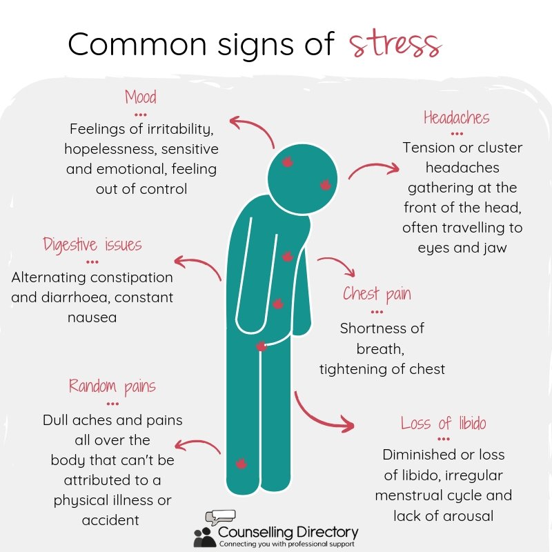 Visual Signs Of Stress visual-signs-of-stress