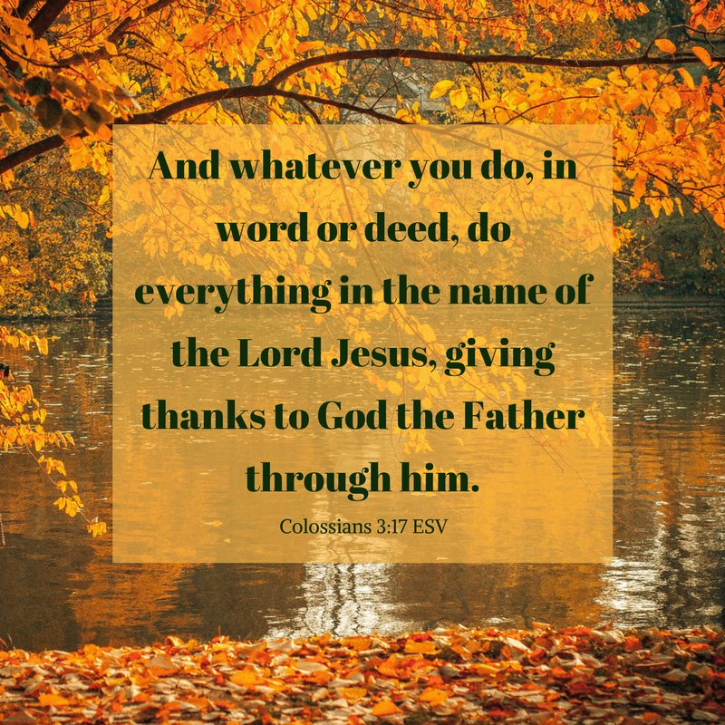 #dailybibleverse Colossians 3:17 ESV
