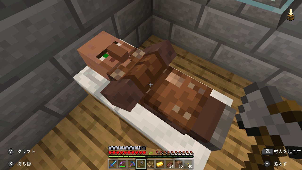 リュウ 森のハンター 各職業みんなオシャレで農民さんの麦わら好き ベッド寝てるのビックリしてw 焚き火 煙でるの興奮したw 行商人から念願のジャングルの木嬉しすぎたー Minecraft マイクラ マインクラフト Nintendoswitch T Co