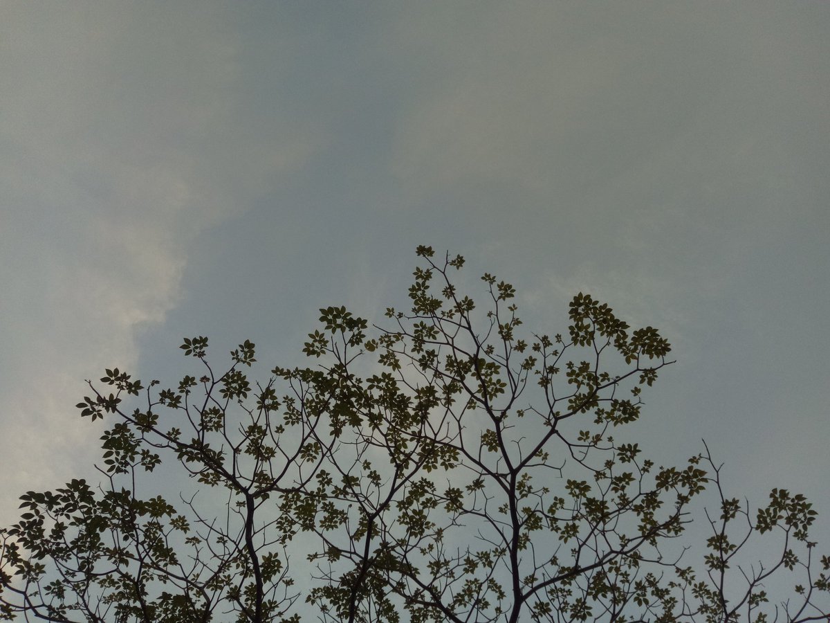 MONO || tweet media