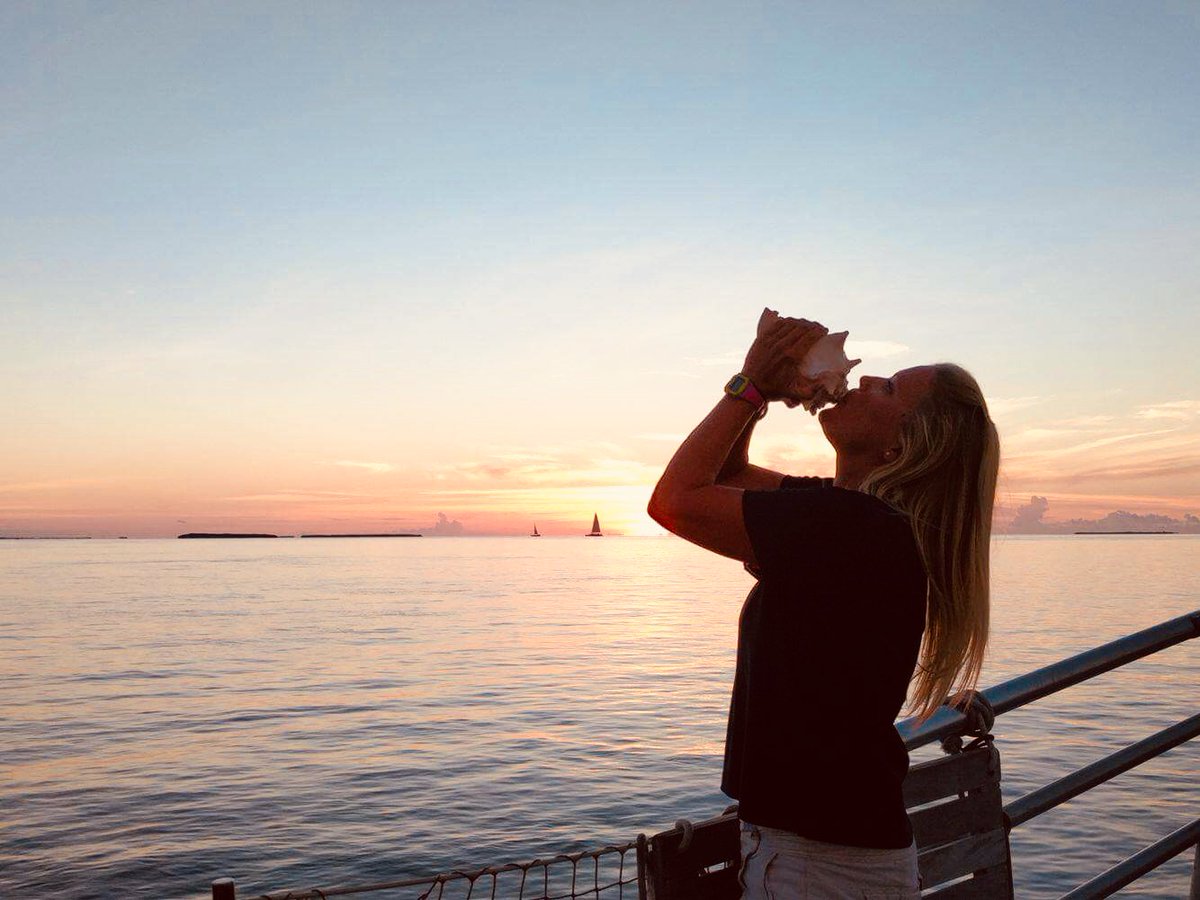 dangercharters tweet media