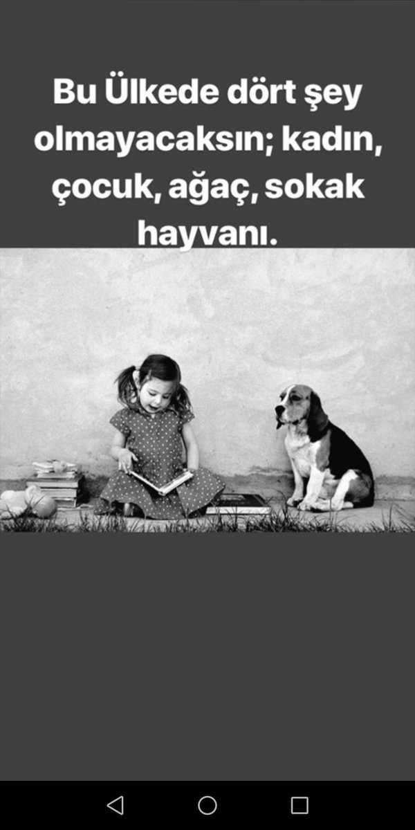 Enes Cihat (@enescihat6) on Twitter photo 