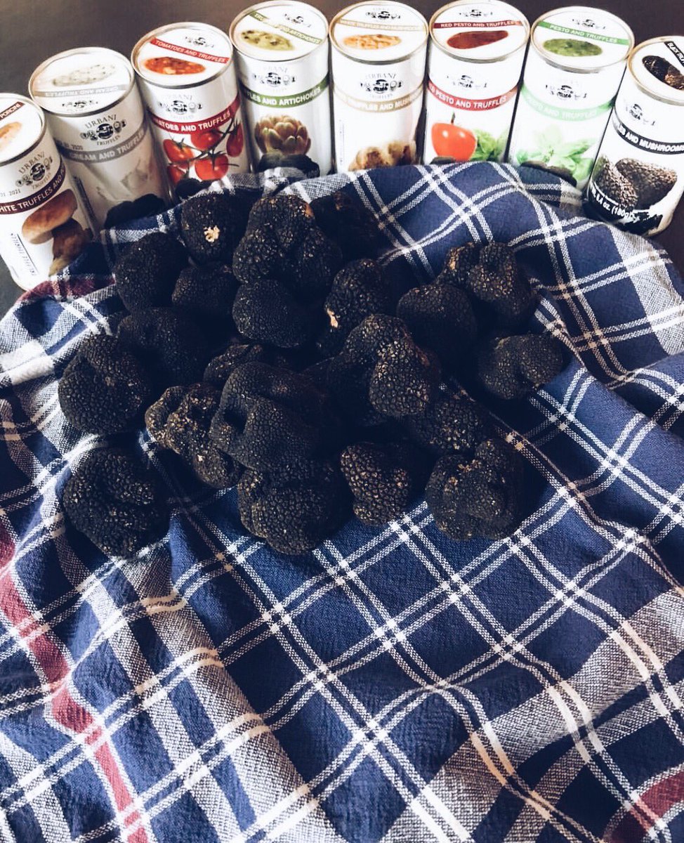 UrbaniTruffles's tweet photo. Guess what! It’s #FreshTruffle season again.
⠀
#UrbaniTruffles https://t.co/f8LHdAnSQK