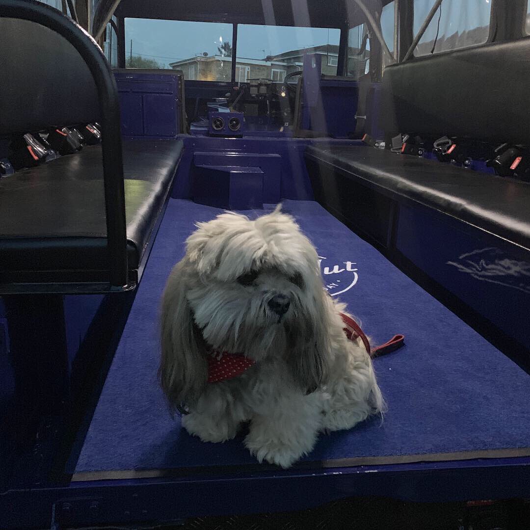 James Martin tweet media