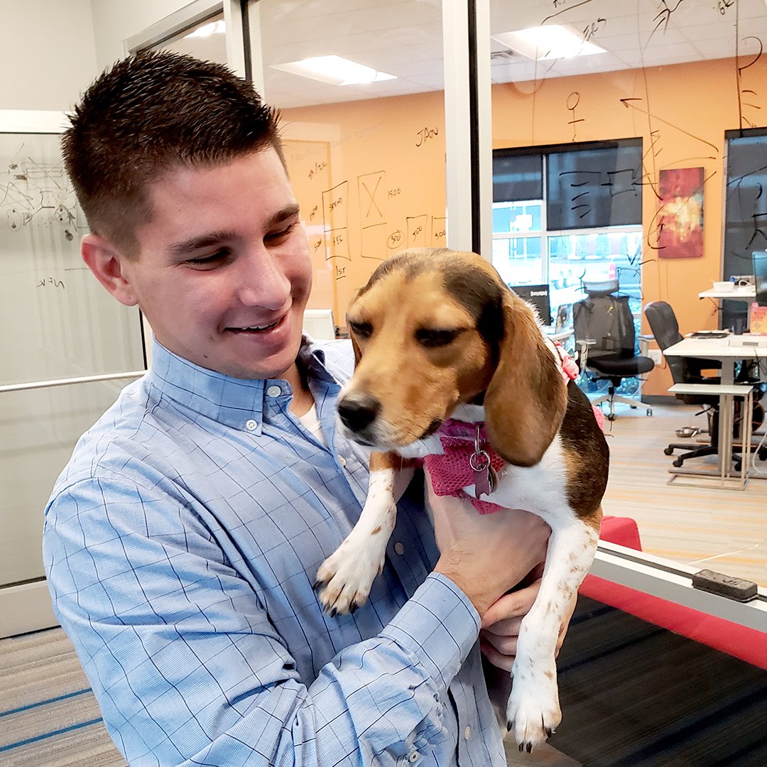 ThisIsArray's tweet photo. #JakeFromArray brought Daisy (Not Kevin 😉) into the office for some snuggles. Digital marketing can be doggone fun when done #TheArrayWay 🐶 https://t.co/lDJHsDh6c8