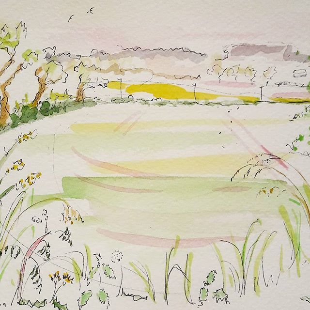 DotHoxton's tweet photo. 🌳🌾🌿☘🍃💚 #northnorfolk #lovenorfolk #ilovenorfolk #burnhammarket #pleinairpainting #watercolourpainter #watercolouroftheday #wildflowers #hedgerow #illustration #paintingoftheday #childrensillustration #childrensbookillustration https://t.co/Hd8GNCbfZl https://t.co/oYyzOnQ78e