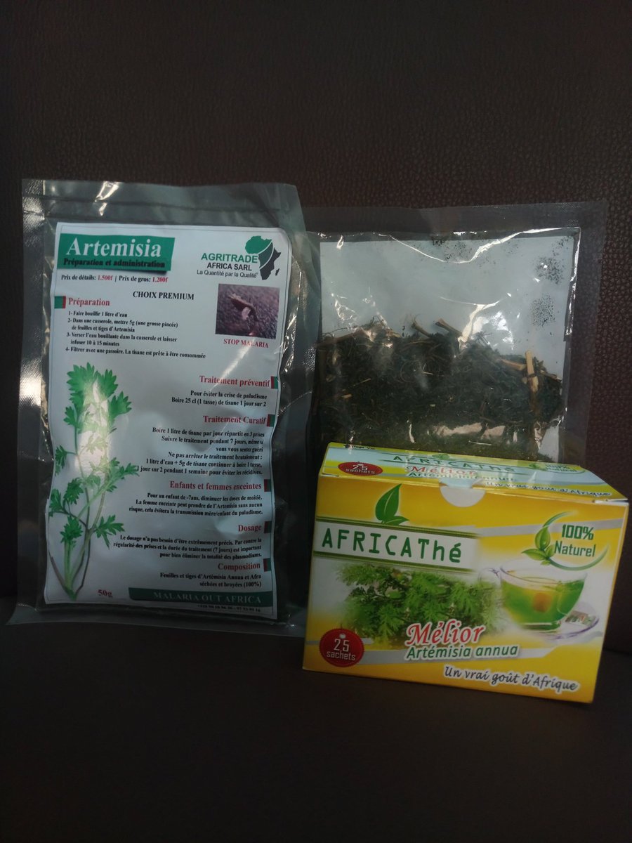 elhadjham's tweet photo. #Artemisia, la plante qui contient près de 400 principes actifs dont 20 #principes #actifs sont orientés vers le #traitement sans effet du #Paludisme...Nos idées vont à ceux qui en souffrent, ceux qui sont morts et à ceux qui promeuvent cette plante #polytherapeutique. #Africa. https://t.co/OFK2epK28m