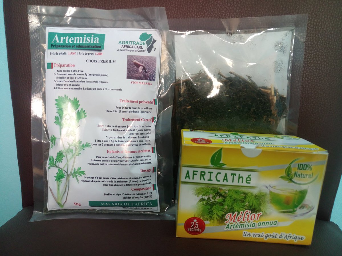 elhadjham's tweet photo. #Artemisia, la plante qui contient près de 400 principes actifs dont 20 #principes #actifs sont orientés vers le #traitement sans effet du #Paludisme...Nos idées vont à ceux qui en souffrent, ceux qui sont morts et à ceux qui promeuvent cette plante #polytherapeutique. #Africa. https://t.co/OFK2epK28m